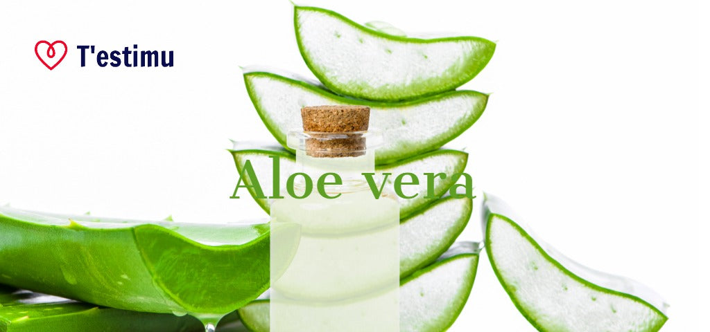 Aloe Vera para la Cara