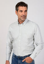 Camisa oxford de algodón para hombre rayas verdes